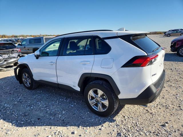 2025 TOYOTA RAV4 XLE - 4T3RWRFV7SU173218