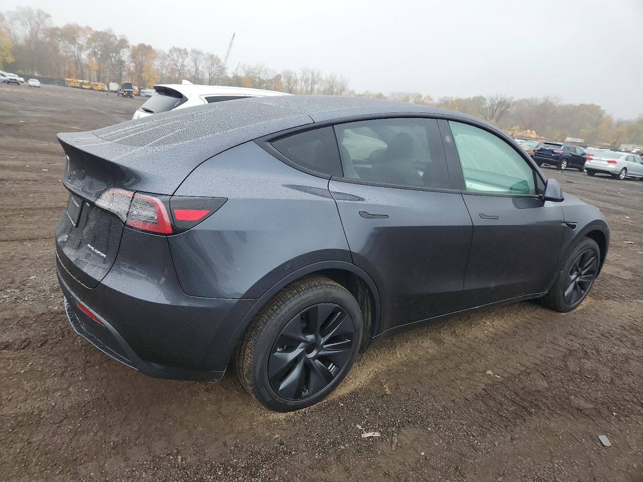 Lot #3311460286 2025 TESLA MODEL Y