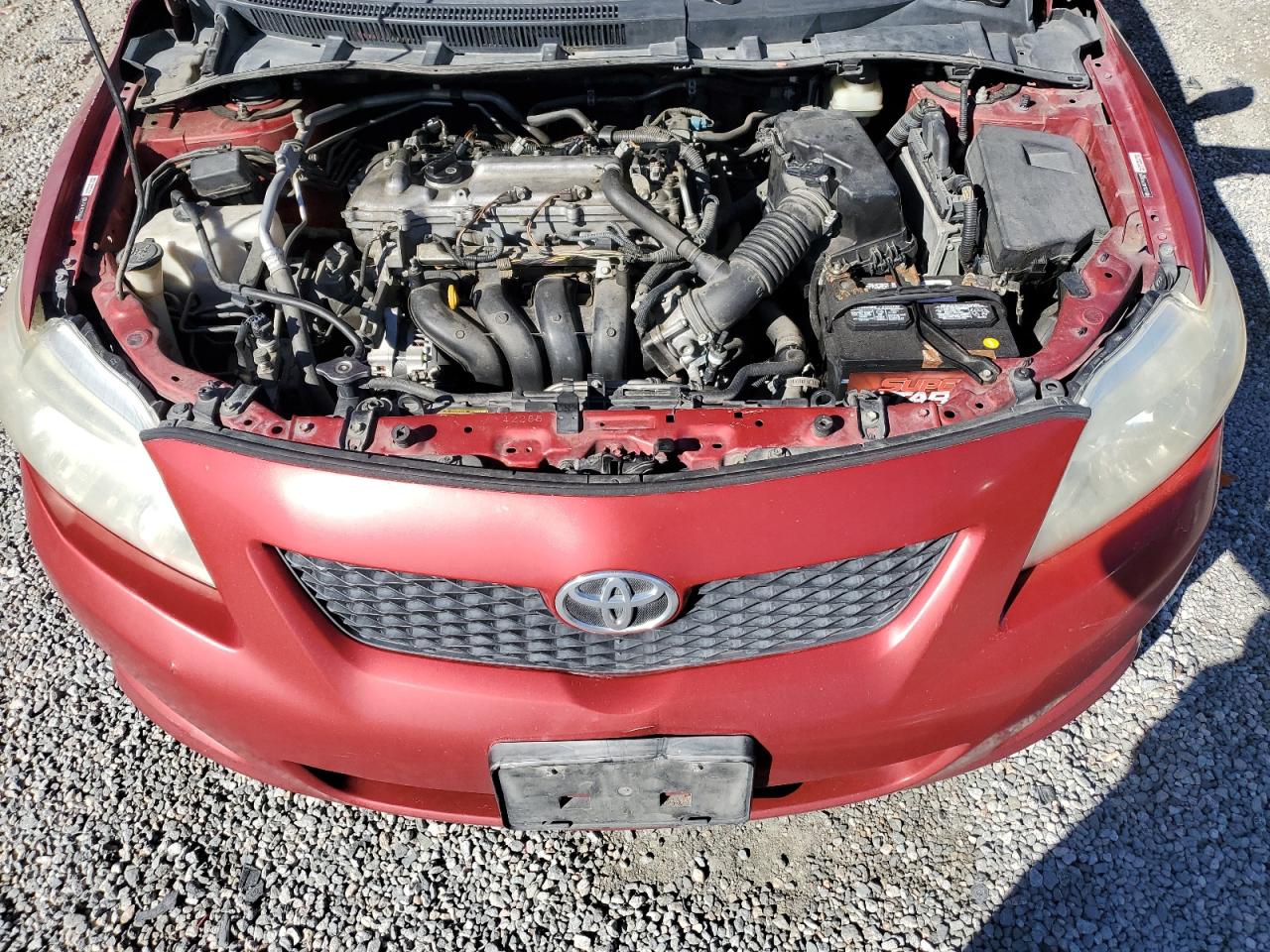 Lot #3272017495 2009 TOYOTA COROLLA BA