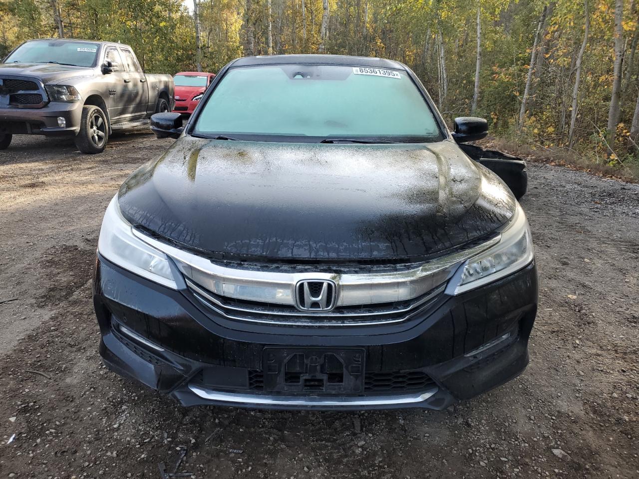 HONDA ACCORD EX