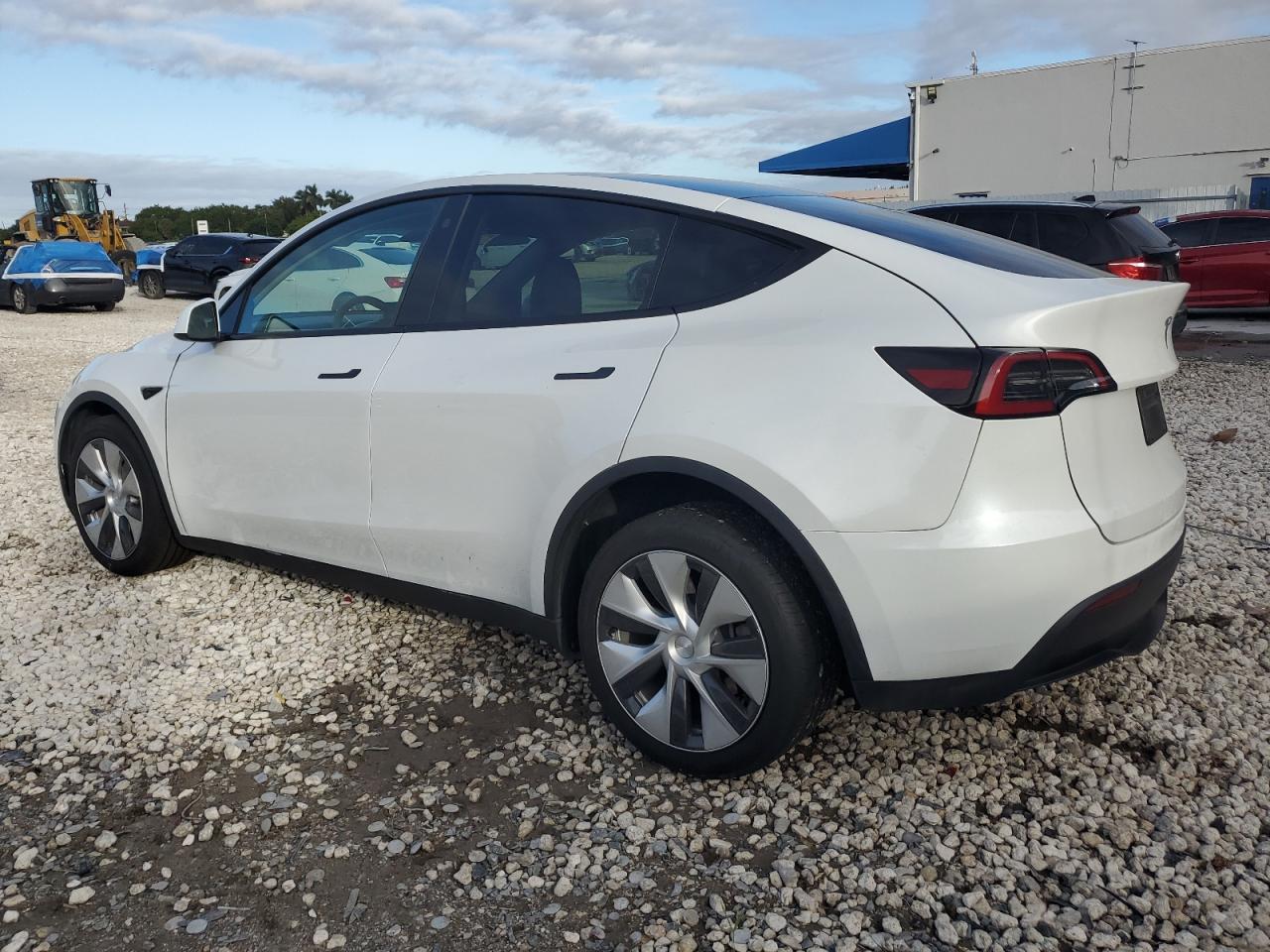 Lot #3309352977 2023 TESLA MODEL Y