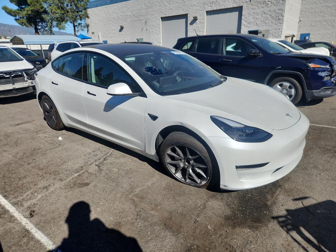 TESLA MODEL 3