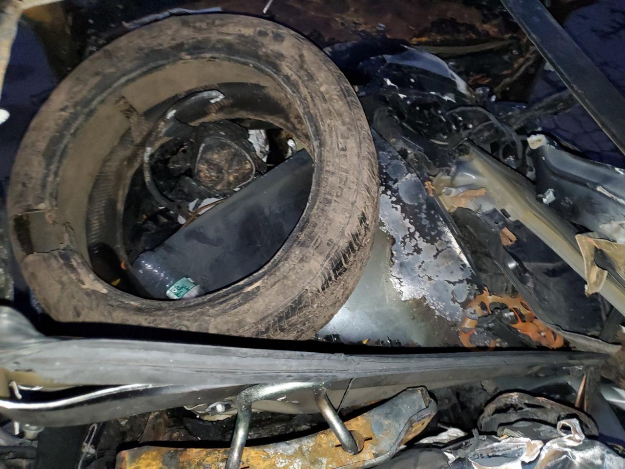 Lot #3312424632 2024 TESLA MODEL Y