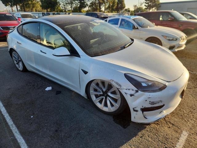 2023 TESLA MODEL 3 #3294306884