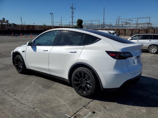 2021 TESLA MODEL Y #3302893906