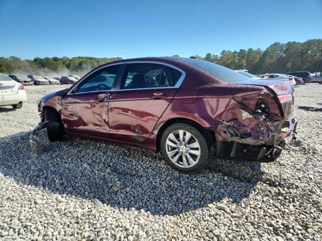 2011 HONDA ACCORD EXL - 1HGCP2F83BA062007