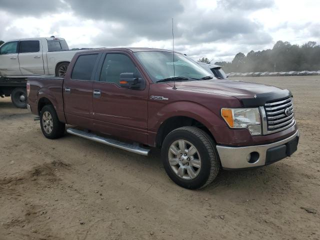 2010 FORD F150 SUPER - 1FTEW1C8XAFD50312