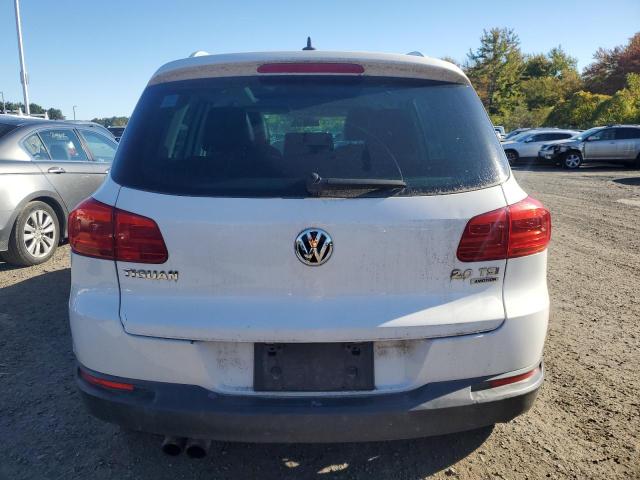 2013 VOLKSWAGEN TIGUAN S - WVGBV7AX8DW549720