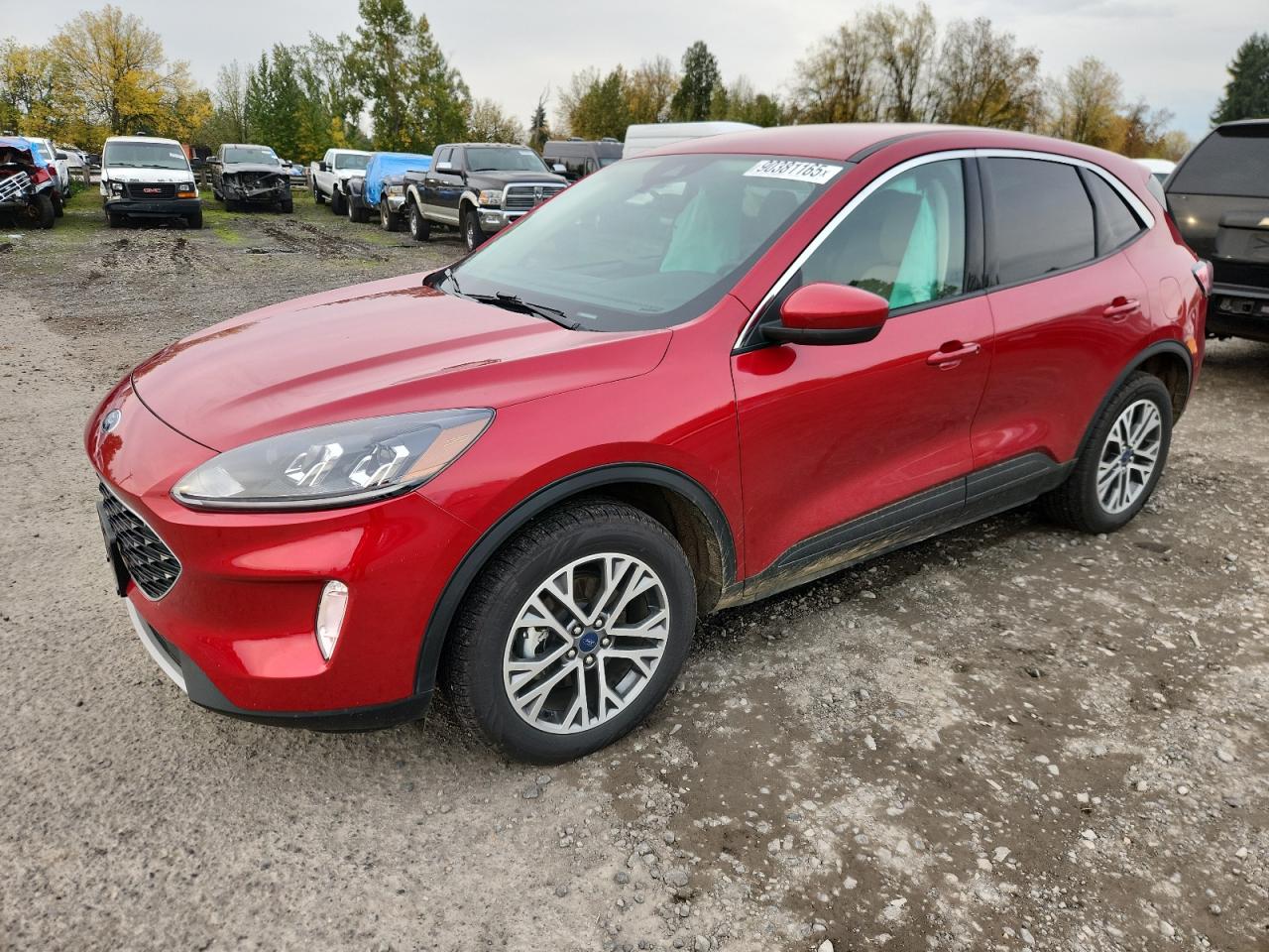 FORD ESCAPE SEL