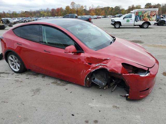 2023 TESLA MODEL Y #3303880717