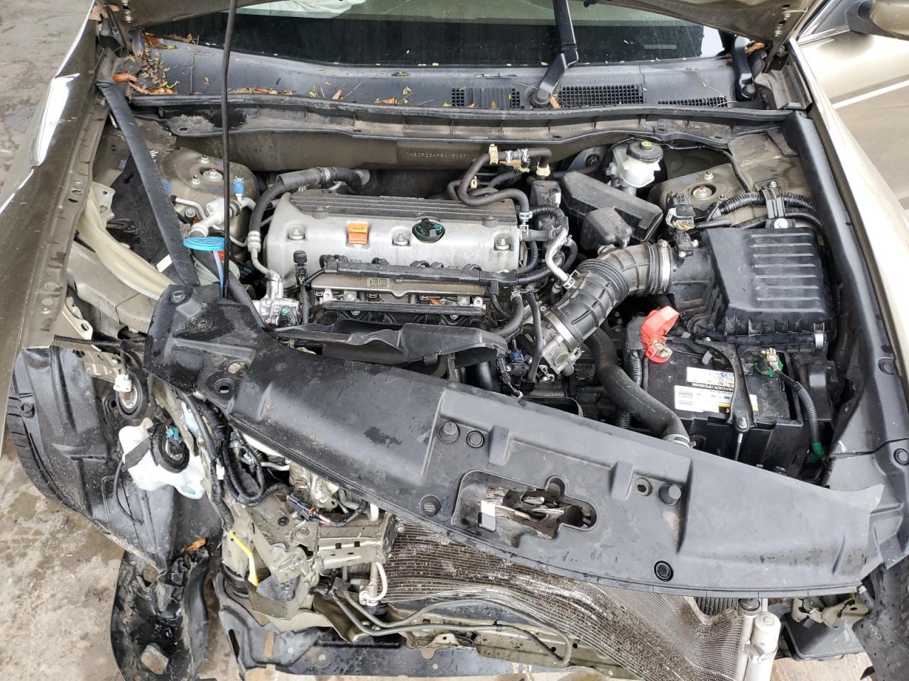 Lot #3285568296 2008 HONDA ACCORD LXP