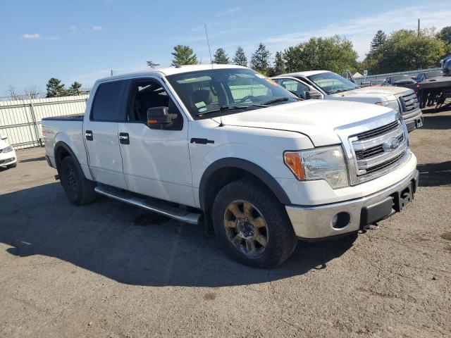 2013 FORD F150 SUPERCREW - 1FTFW1EF5DKD44834