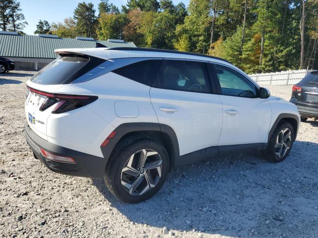 2023 HYUNDAI TUCSON SEL KM8JBDA29PU104555