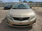 Lot #3305055981 2010 TOYOTA COROLLA BA