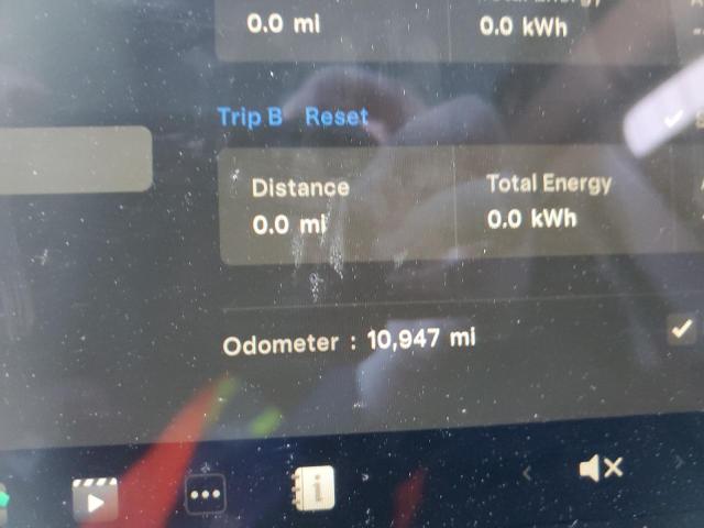 2025 TESLA MODEL Y #3316720413