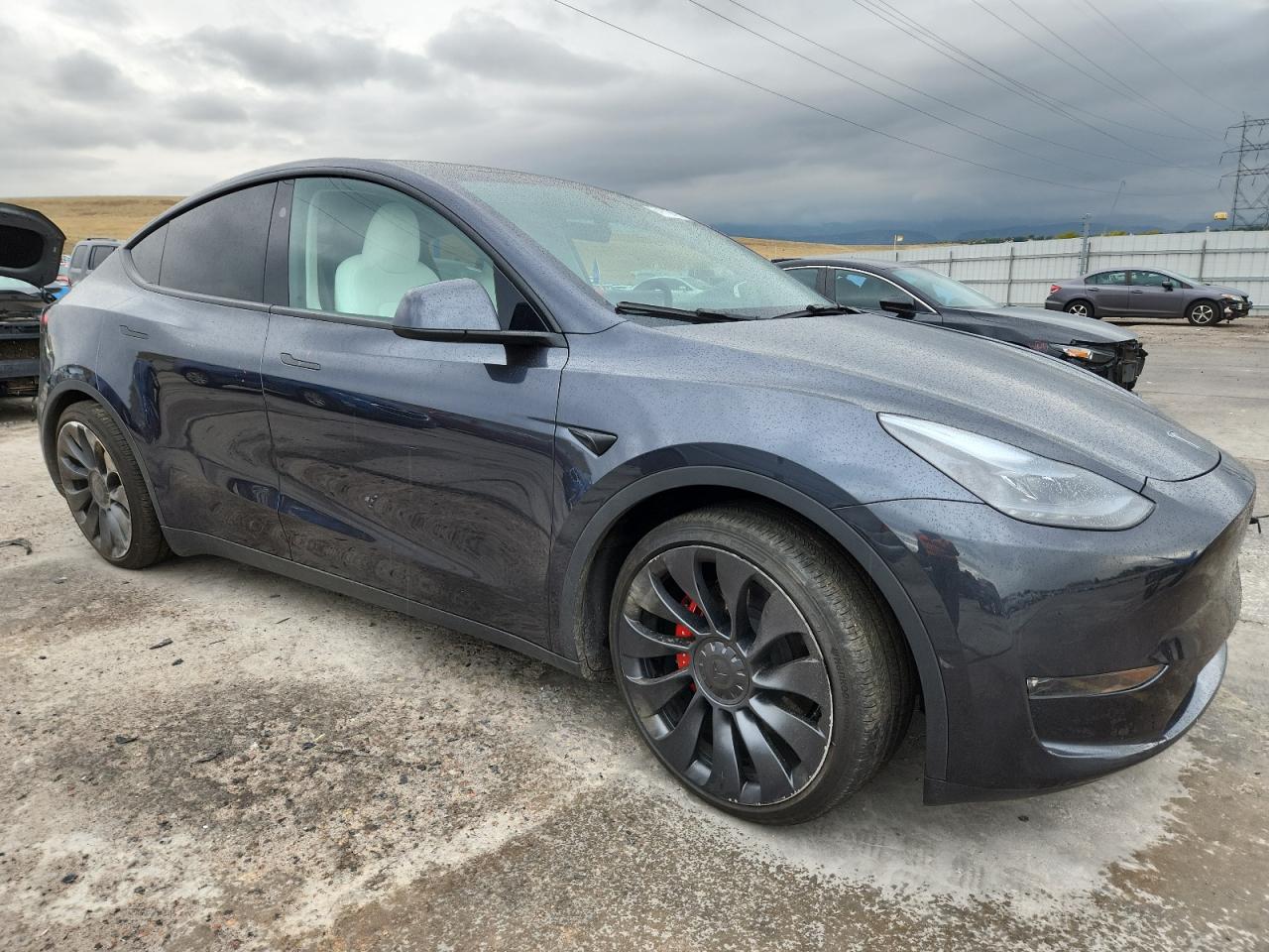 TESLA MODEL Y