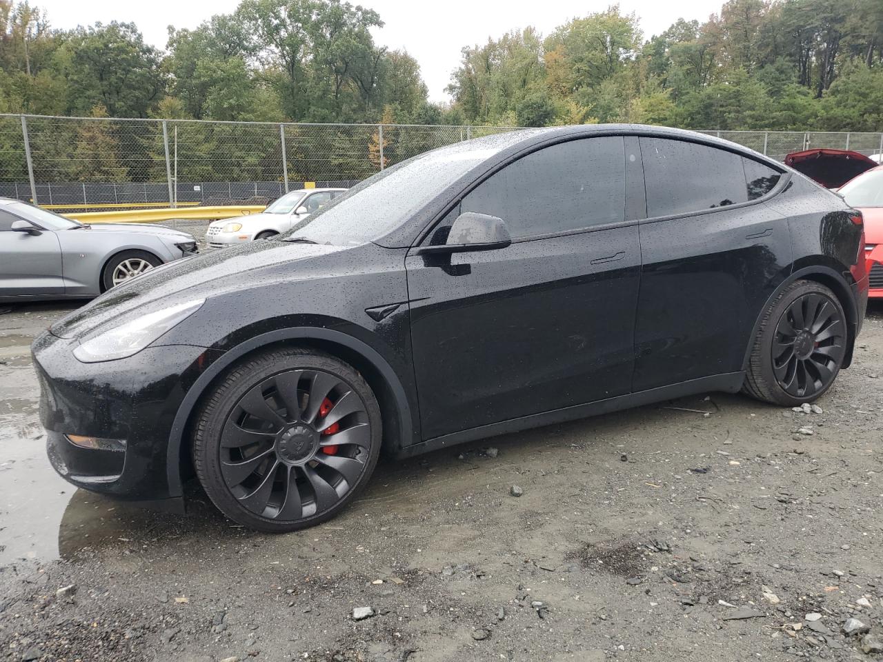 TESLA MODEL Y