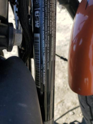 2020 HARLEY-DAVIDSON XL883 N #3292386266