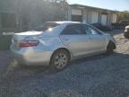 Lot #3294529543 2009 TOYOTA CAMRY BASE