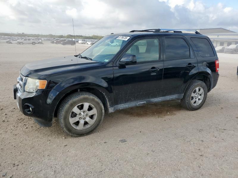 Global Auto Auctions: 2010 FORD ESCAPE