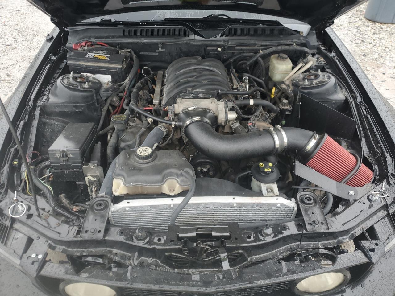 Lot #3278633926 2006 FORD MUSTANG GT