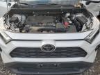 Lot #3315725343 2024 TOYOTA RAV4 XLE P