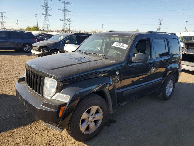 Global Auto Auctions: 2010 JEEP LIBERTY SP