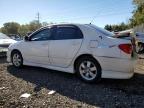 Lot #3292462671 2007 TOYOTA COROLLA CE