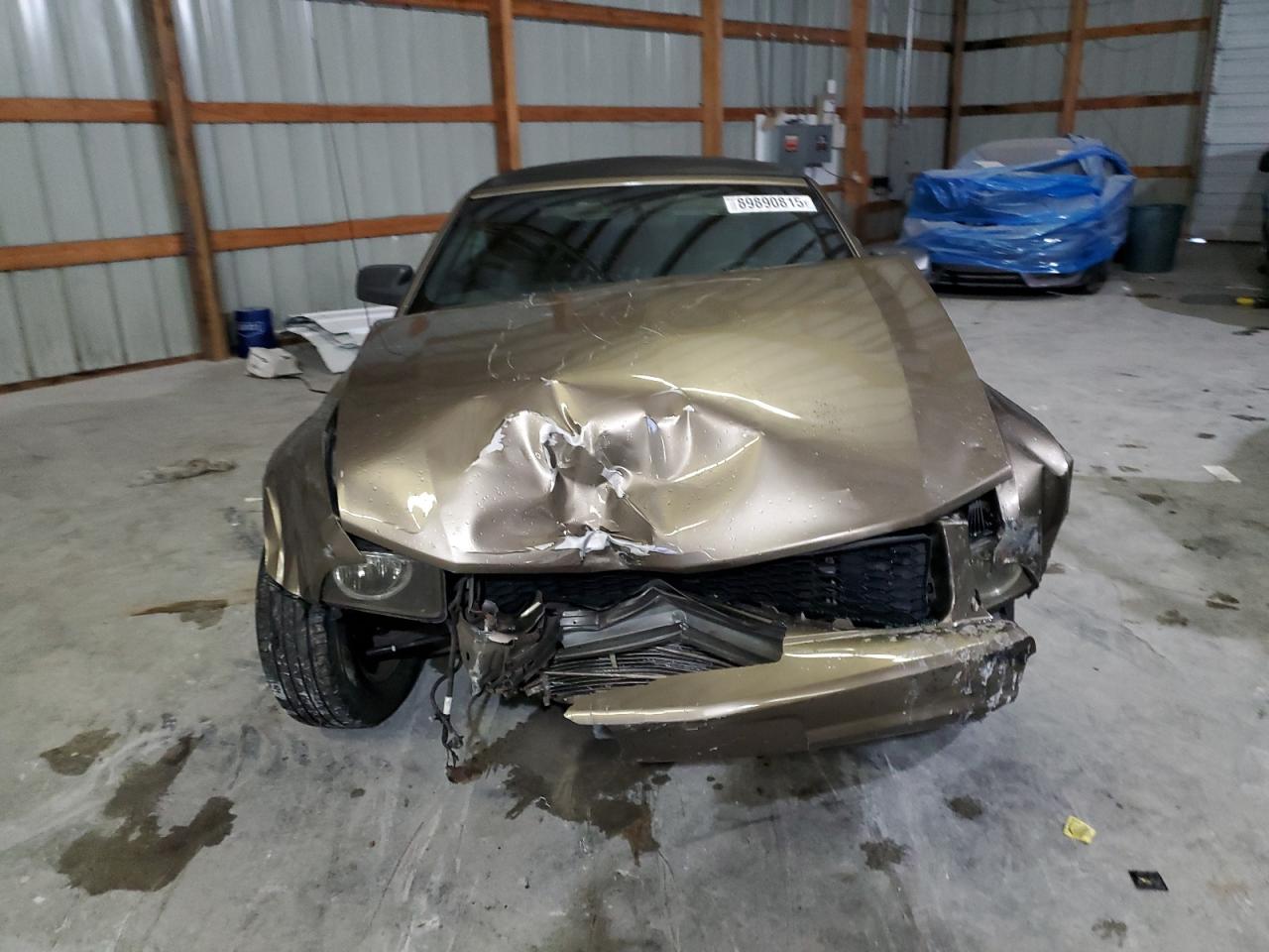 Lot #3302693019 2005 FORD MUSTANG