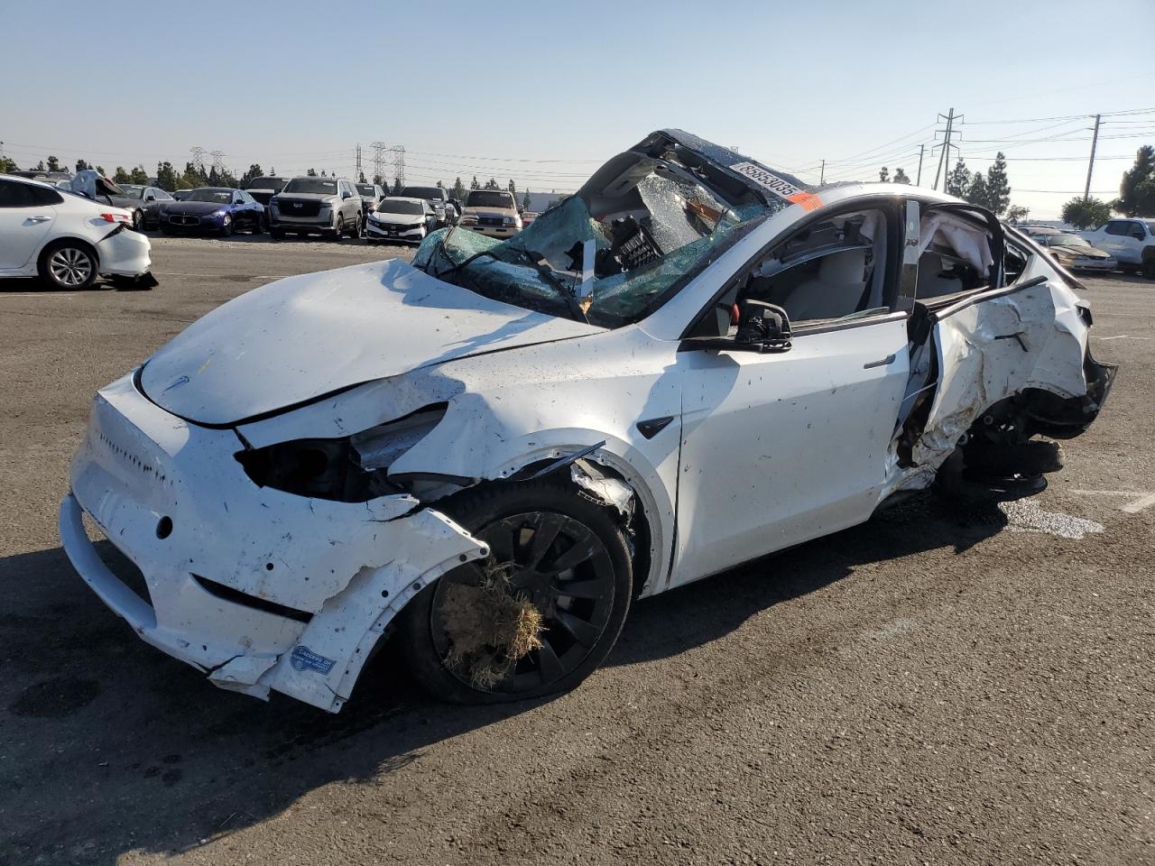 Lot #3308272166 2021 TESLA MODEL Y