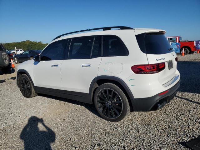 2022 MERCEDES-BENZ GLB 250 #3294407492