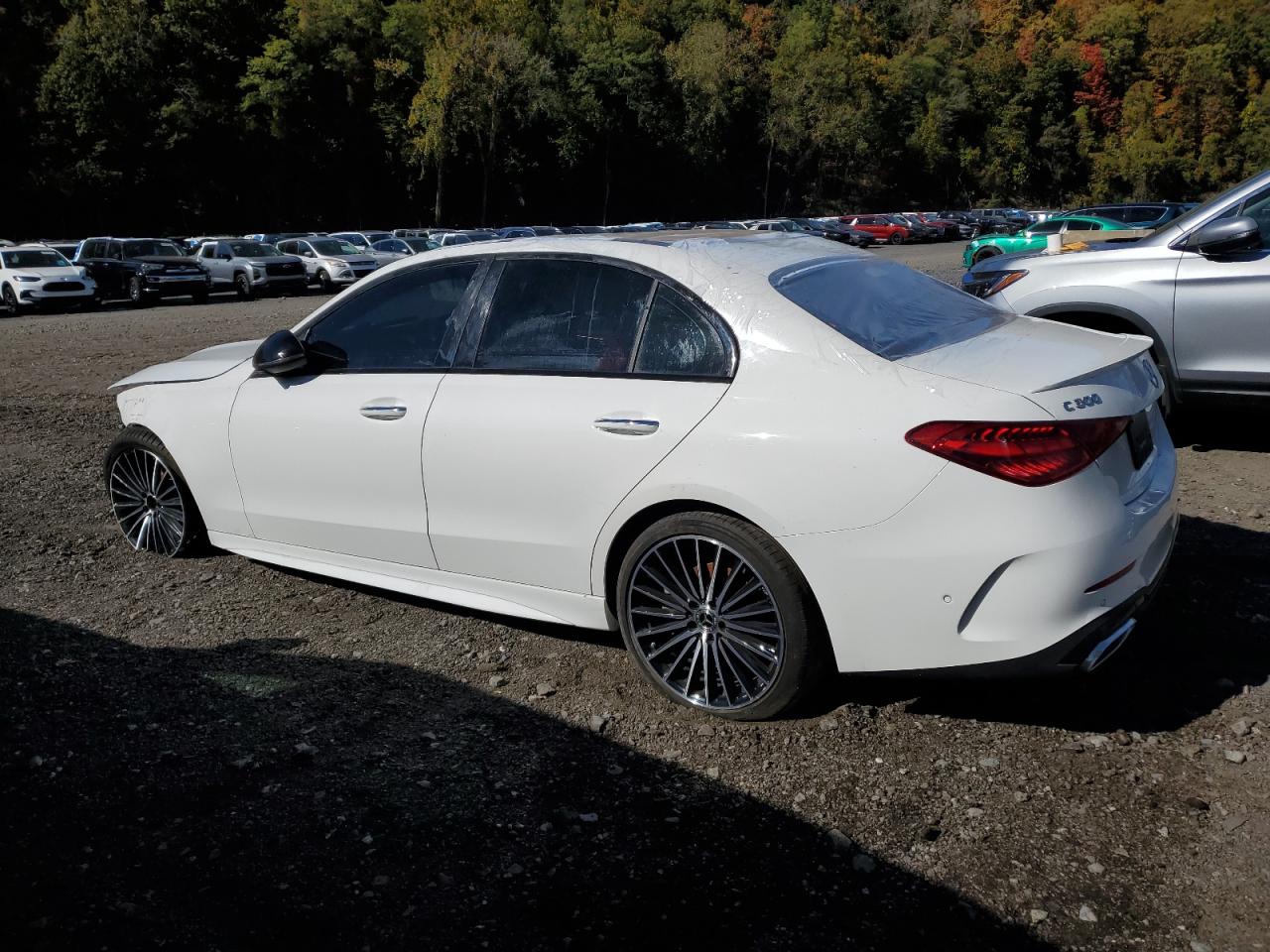 MERCEDES-BENZ C-CLASS 300