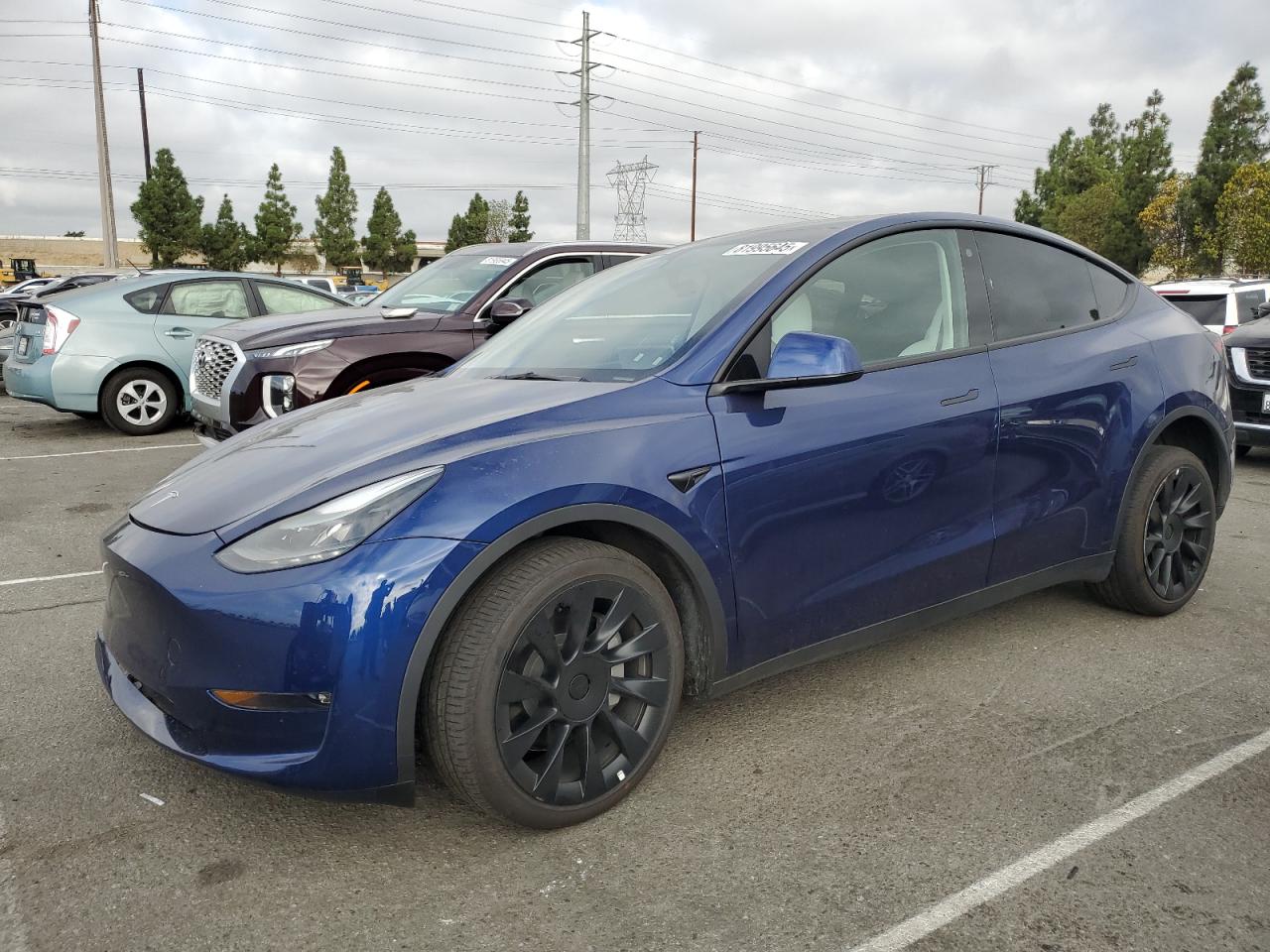 TESLA MODEL Y