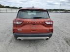 Lot #3294533640 2020 FORD ESCAPE S