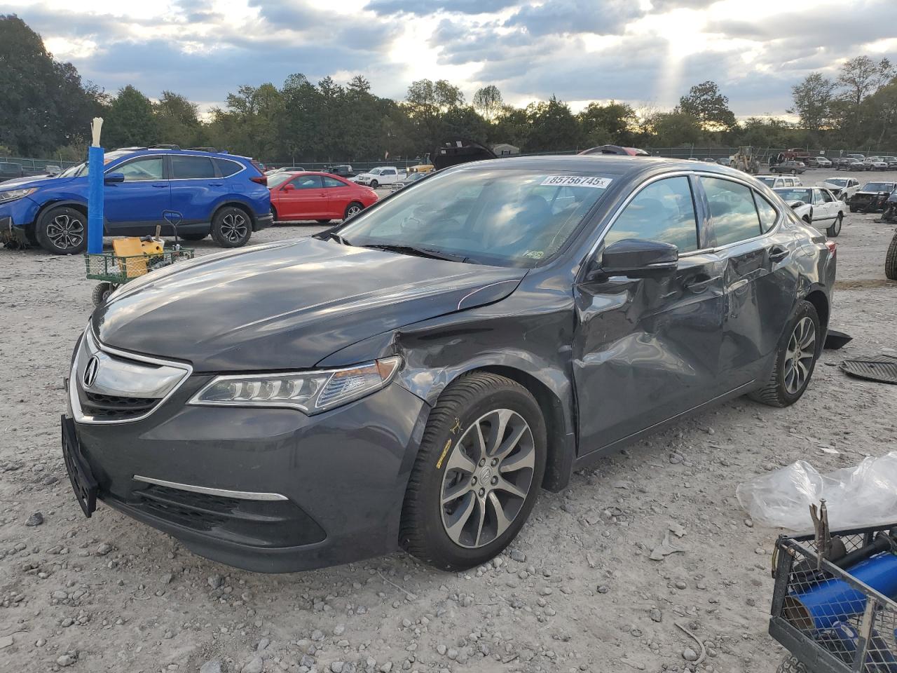 Lot #3298094137 2015 ACURA TLX