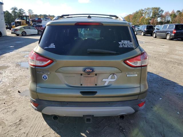 2013 FORD ESCAPE TIT - 1FMCU0J96DUC99552