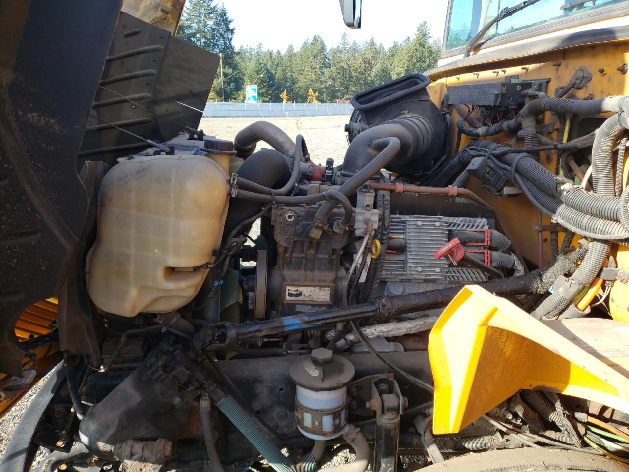 Lot #3279529274 2009 IC CORPORATION CE SERIES SCHOOL