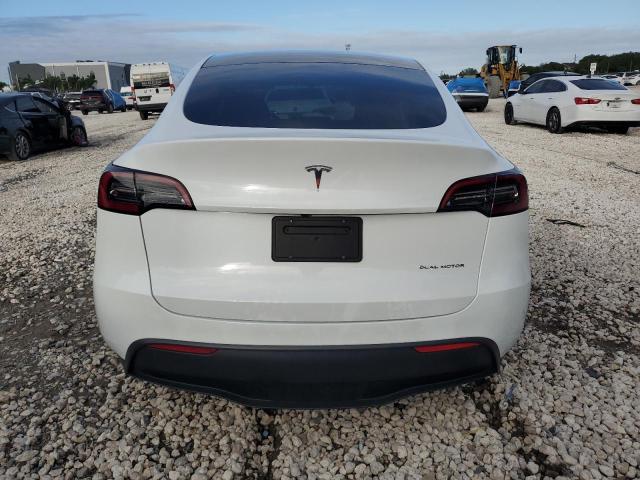 2023 TESLA MODEL Y #3309352977