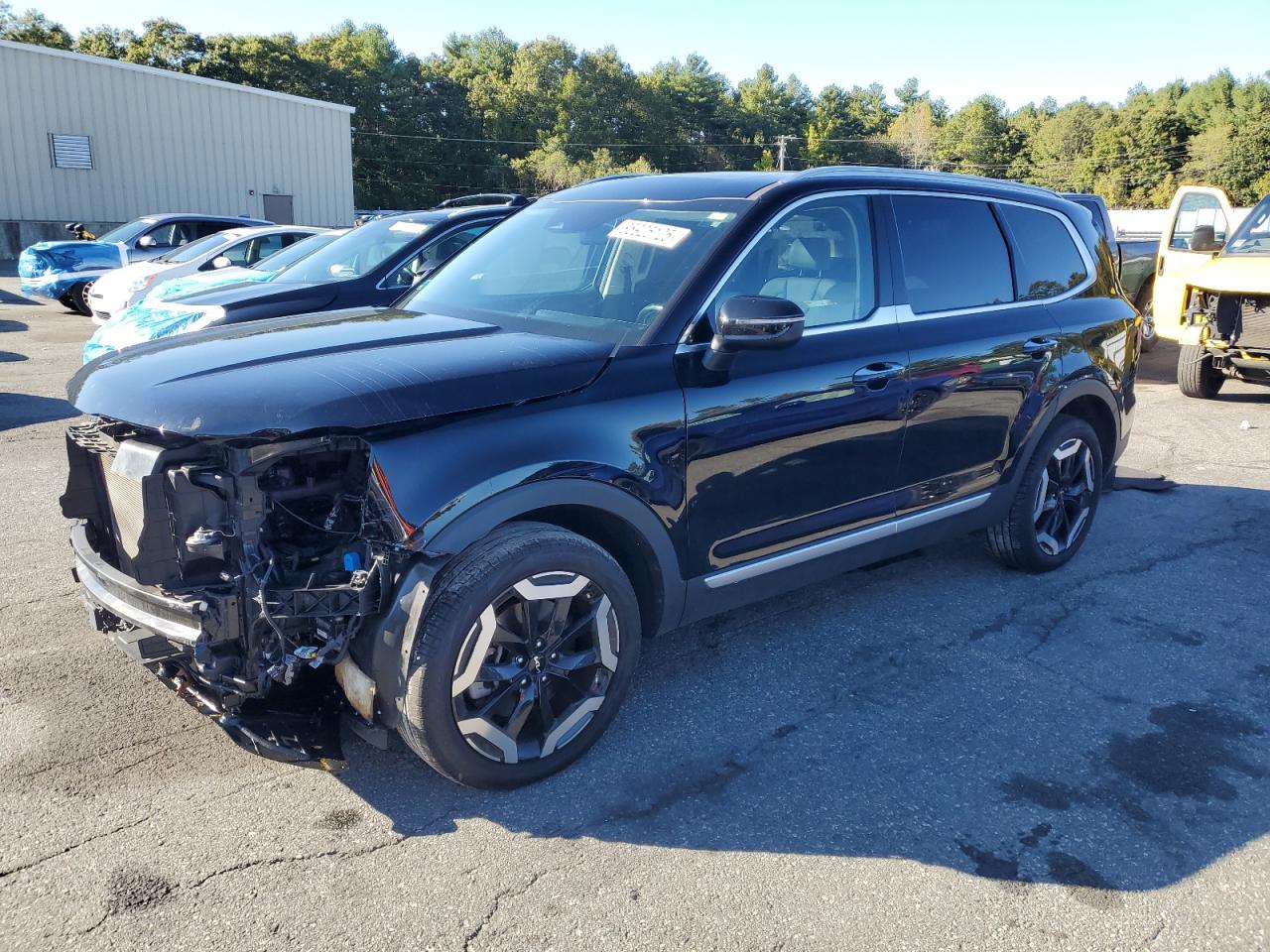 Lot #3290311218 2024 KIA TELLURIDE