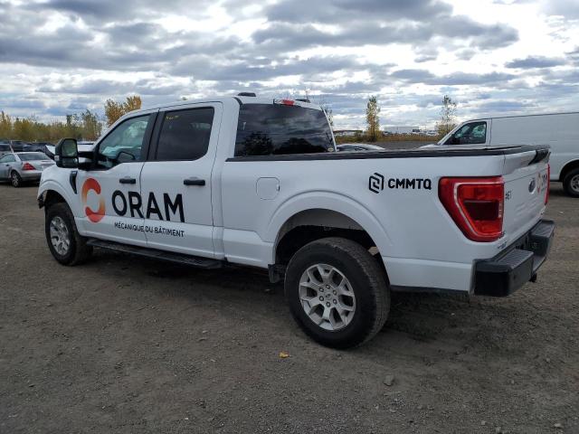 2023 FORD F150 SUPER - 1FTFW1E81PKE14657