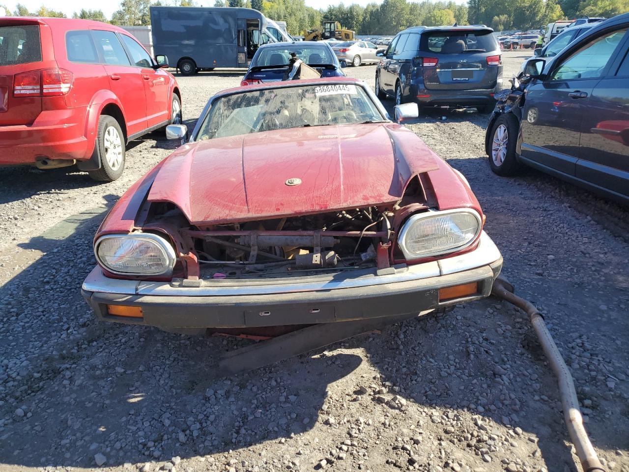 Global Auto Auctions