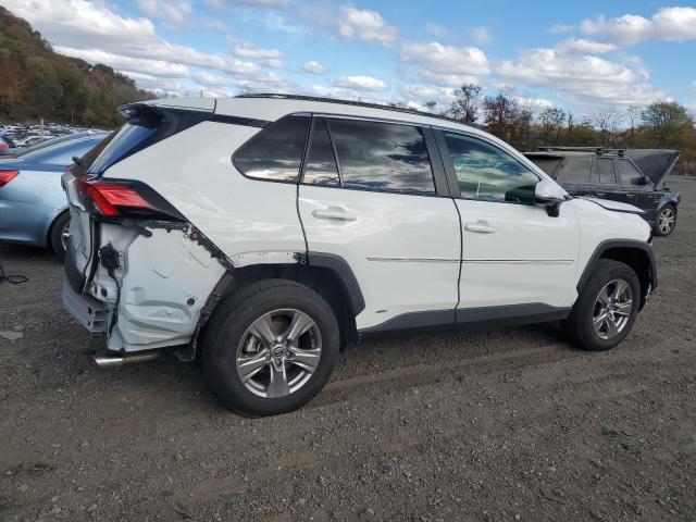 2023 TOYOTA RAV4 LE #3318870990