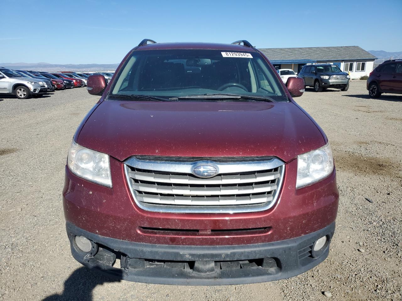 SUBARU TRIBECA LIMITED