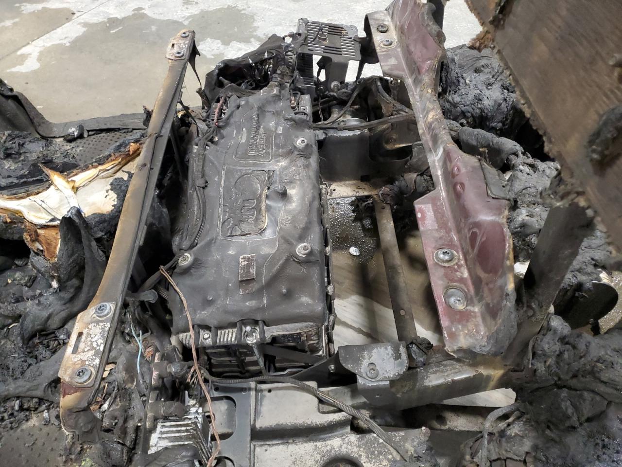 Lot #3285564271 2019 EZGO GOLF CART