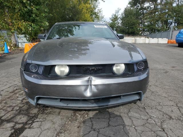 2010 FORD MUSTANG GT - 1ZVBP8CH4A5145001