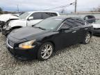 Lot #3315643785 2014 NISSAN MAXIMA S