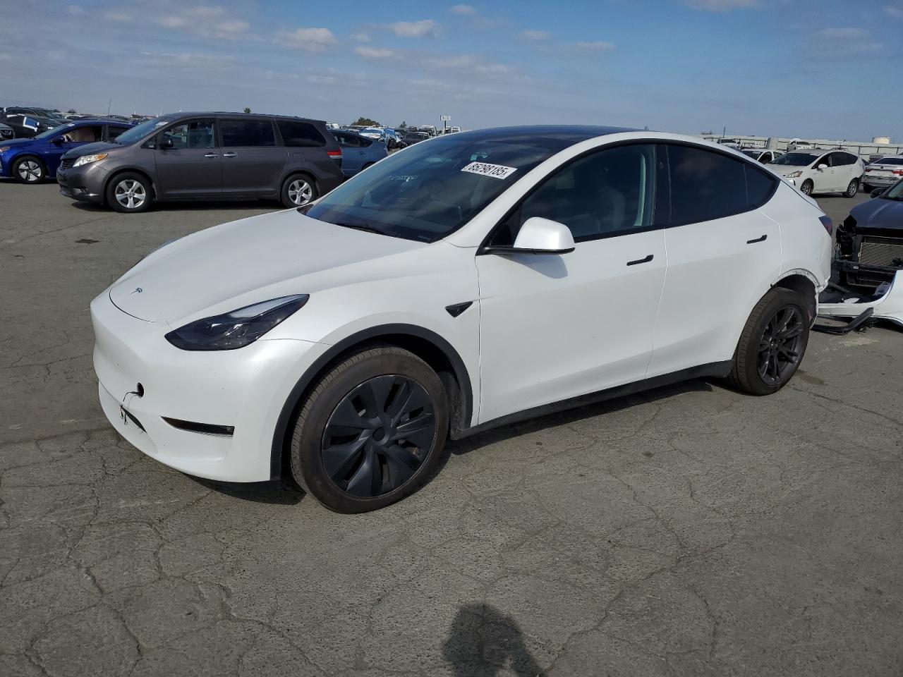Lot #3302835912 2024 TESLA MODEL Y