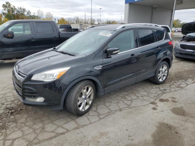 Global Auto Auctions: 2014 FORD ESCAPE TIT
