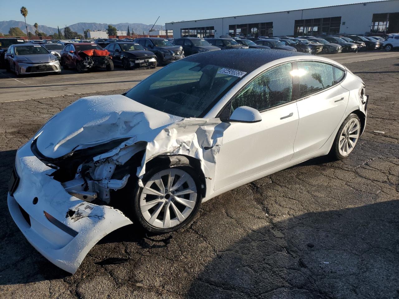 Lot #3283798444 2023 TESLA MODEL 3