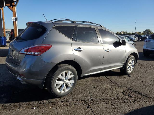 2013 NISSAN MURANO S - JN8AZ1MW8DW314324